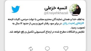 همدلی مجلس و دولت برای تصویب کلیات لایحه ارتقای امنیت زنان در برابر سوء رفتار