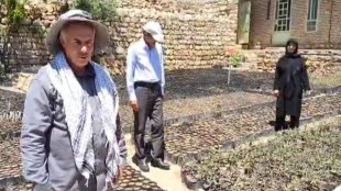 بانوان؛ بارقه امید نهال‌کاری