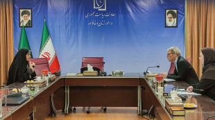 Director general of international affairs of the vice-presidency for women and family met with the ambassador of Denmark to Tehran