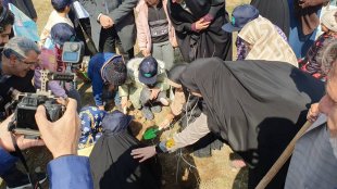  مراسم درختکاری خانوادگی دختر و بابا _ پارک جنگلی خرگوش دره
