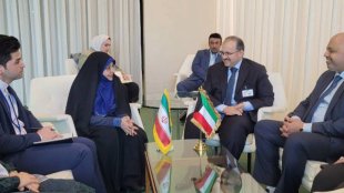 کشورهای مسلمان می‌بایست امروز بیشتر از همیشه به ترویج هنجارهای خانواده فطری و الهی بپردازند
