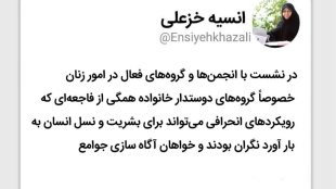 نگرانی گروه‌های مردمی آمریکا از رویکردهای انحرافی در خانواده
