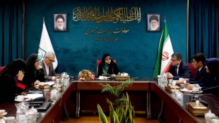  دیدار معاون رئیس‌جمهور در امور زنان و خانواده با سفیر ازبکستان
