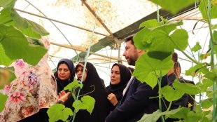 بازدید معاون رئیس‌جمهور در امور زنان و خانواده از گلخانه روستای خیرآباد _ سمنان