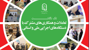 تعاملات و همکاریهای مشترک با دستگاههای اجرایی ملی و استانی