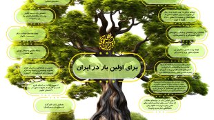 مهمترین اقدامات معاونت زنان در دولت سیزدهم