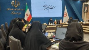 ہم خاندان کے میدان میں عالمگیر مشترکات تلاش کر رہے ہیں
