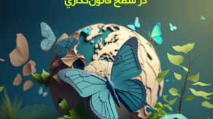 قوانین حمایتی زنان، تامین امنیت فردی