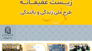زیست عفیفانه، طرح ملی زندگی و بالندگی