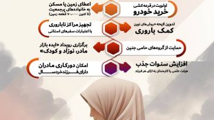 اینفوگرافی | حمایت از فرزندآوری در دولت شهید جمهور

