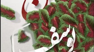 حسن یوسف