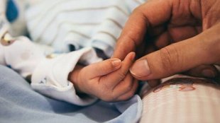 دکتر خزعلی: لایحه اهدای تخمک در مراحل نهایی قرار دارد
