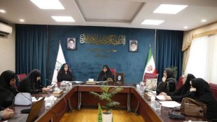 دکتر خزعلی از اجرای طرح زنان برای زنان خبر داد

