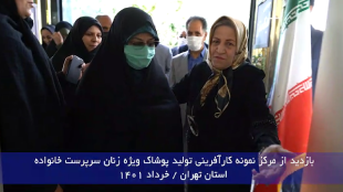بازدید استان تهران