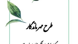 مهر ماندگار- برگزاری کارگاه تحکیم خانواده های نوپای روستایی