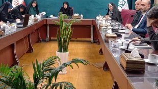 برگزاری دومین جلسه کارگروه راهبری تدوین آیین‌نامه ساماندهی مراکز مشاوره و فعالیت مشاوران