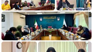 سیاست‌گذاری مؤثر برای دختران ؛ بررسی چالش‌ها در کارگروه تخصصی دختران و نوجوانان معاونت امور زنان و خانواده