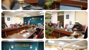 برگزاری نشست معاونت امورز زنان و خانواده با مدیران سامانه مشاوره همساز
