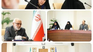 تحول در بافت جمعیتی زنان سرپرست خانوار و تلاش برای تثبیت درآمد پایدار
