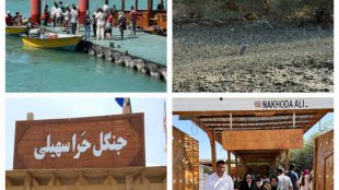 بهروز آذر، معاون رئیس‌جمهور در امور زنان و خانواده، از روستای سهیلی واقع در بخش حرا، توابع شهرستان قشم در استان هرمزگان بازدید کرد.