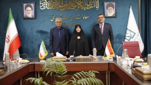 در دیدار معاون رئیس‌جمهور با سفیر سودان مطرح شد؛ تأکید بر گسترش همکاری‌های مشترک تهران و خارطوم در حوزه زنان
