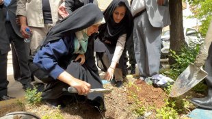 غرس یک اصله بلوط به منظور ترویج فرهنگ درختکاری و حفاظت از محیط زیست توسط معاون رئیس‌جمهور در امور زنان و خانواده