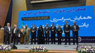 بهروزآذر: به دنبال اصلاح موانع مشارکت اقتصادی زنان هستیم/ کسب‌وکارهای خانواده‌محور در اولویت برنامه‌های حمایتی معاونت زنان هستند