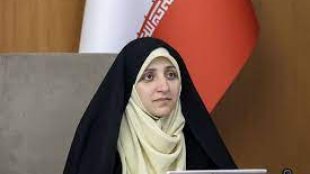 امیدواریم مجلس در تصویب لایحه حمایت از زنان با دولت همکاری کند