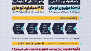 چگونه معاونت ریاست‌جمهوری در امور زنان و خانواده ضامن زنان سرپرست خانواری می‌شود که نمی‌توانند تضمین بانکی فراهم کنند؟ 
