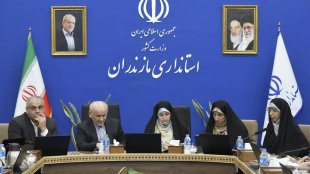 گام مهم معاونت زنان برای حمایت از زنان سرپرست خانوار و توسعه اشتغال
