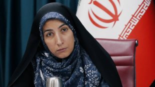معاون بررسی های راهبردی و رئیس دبیرخانه ستاد ملی زن و خانواده