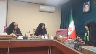 ظرفیت دیپلماسی می‌تواند در خدمت توانمندسازی زنان ایرانی قرار گیرد
