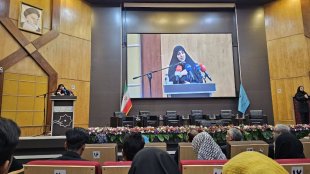 «نسل زد» می‌تواند موتور تحول اکوسیستم کارآفرینی کشور را به حرکت درآورد
