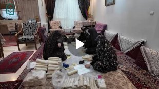 بانوان جهادگر، پای کار ایران
